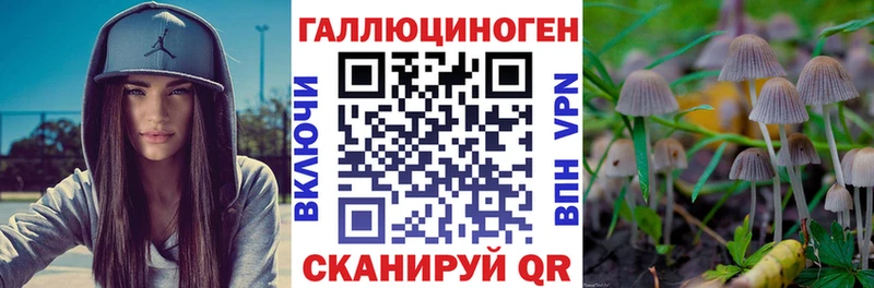Галлюциногенные грибы Magic Shrooms  маркетплейс клад  Чита  hydra ONION 