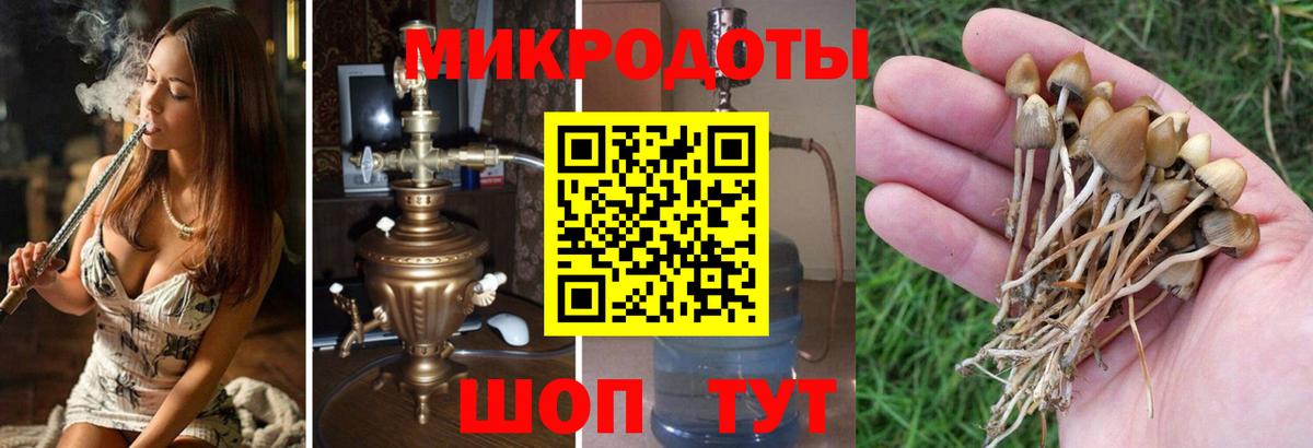 Псилоцибиновые грибы MAGIC MUSHROOMS  Вход с VPN  Чита  Псилоцибиновые грибы Psilocybe 