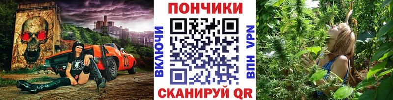 mega tor  Чита  Бошки марихуана гибрид 